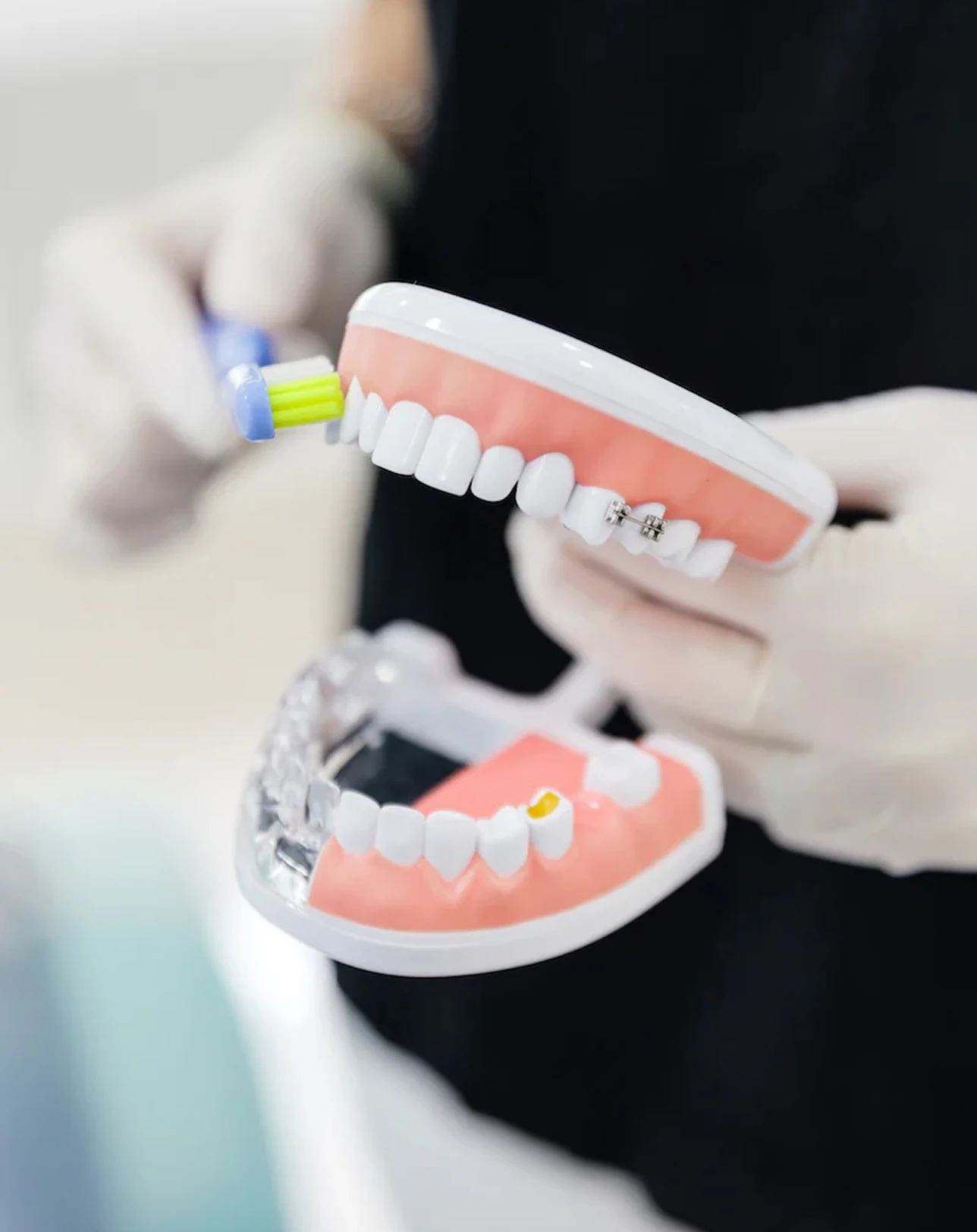 Unas manos con guantes cepillan una dentadura de muestra