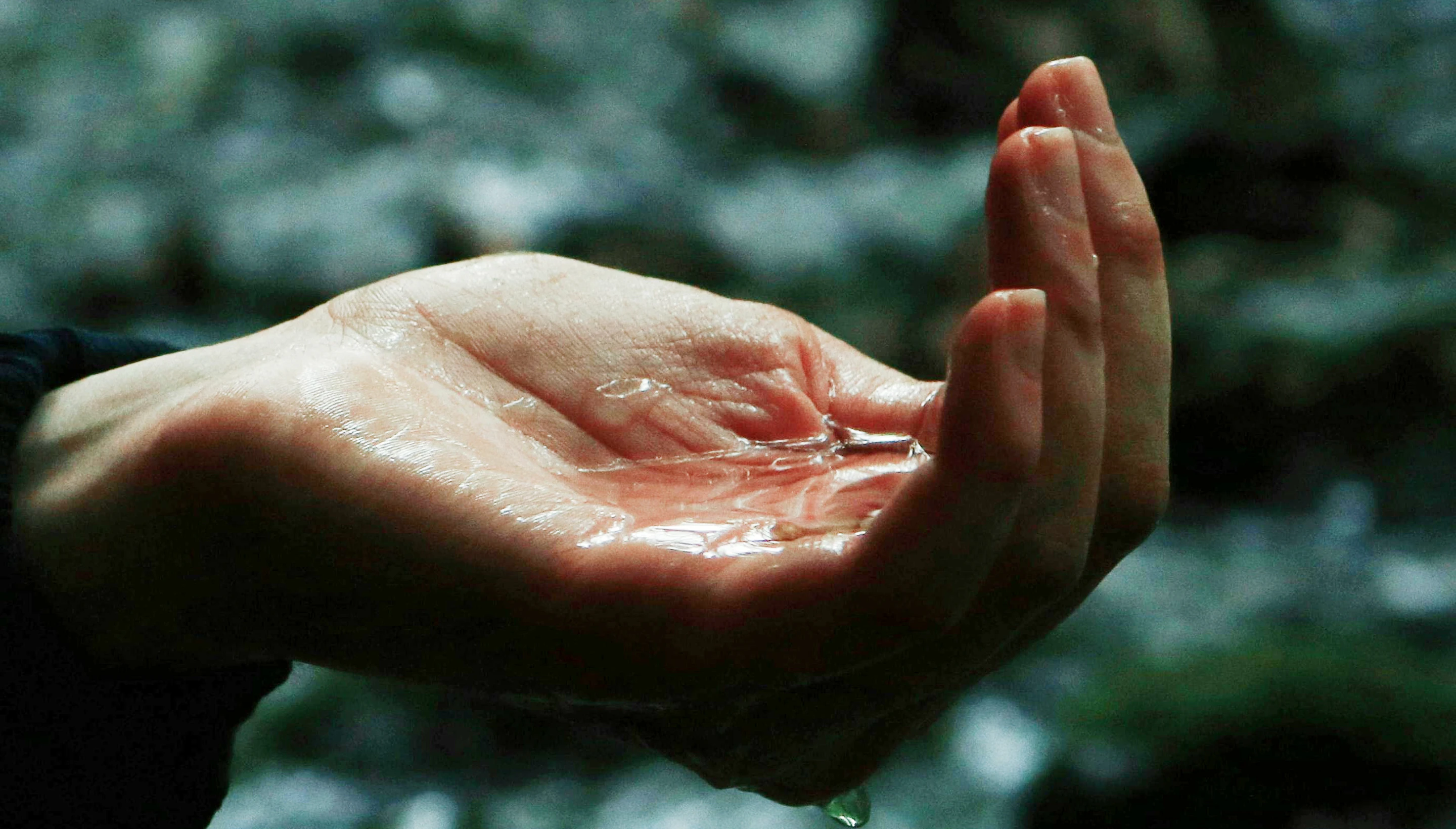 A hand cupping water from a spring, against a mossy background