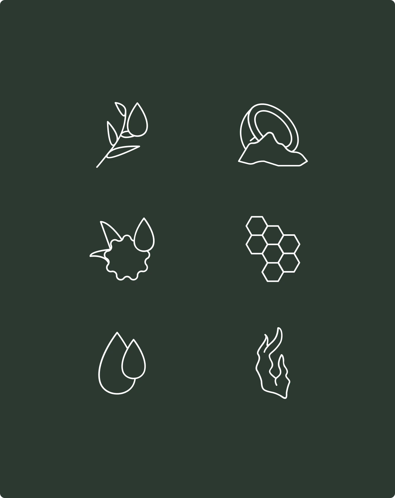 Iconos de los ingredientes de Ixeia en blanco sobre verde oscuro