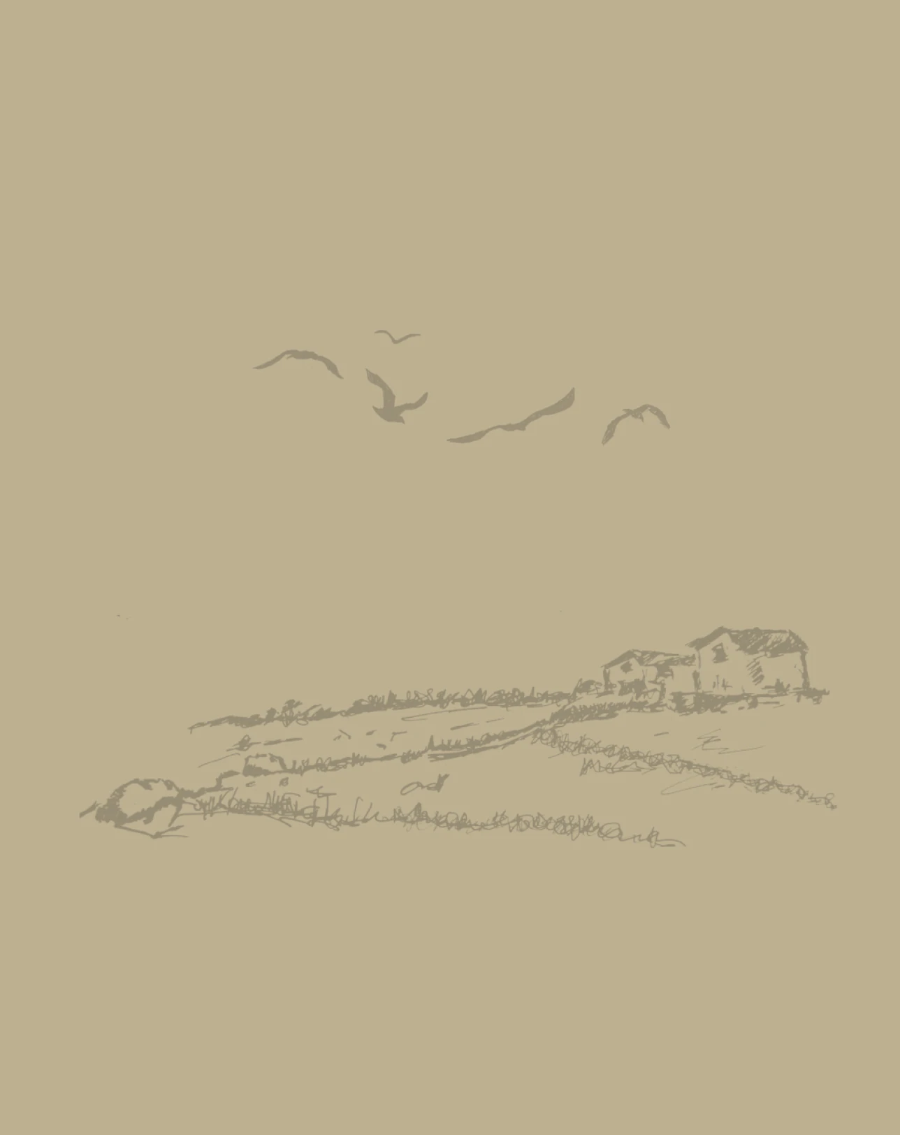 Ilustración a línea de una masía en el campo, con pájaros volando