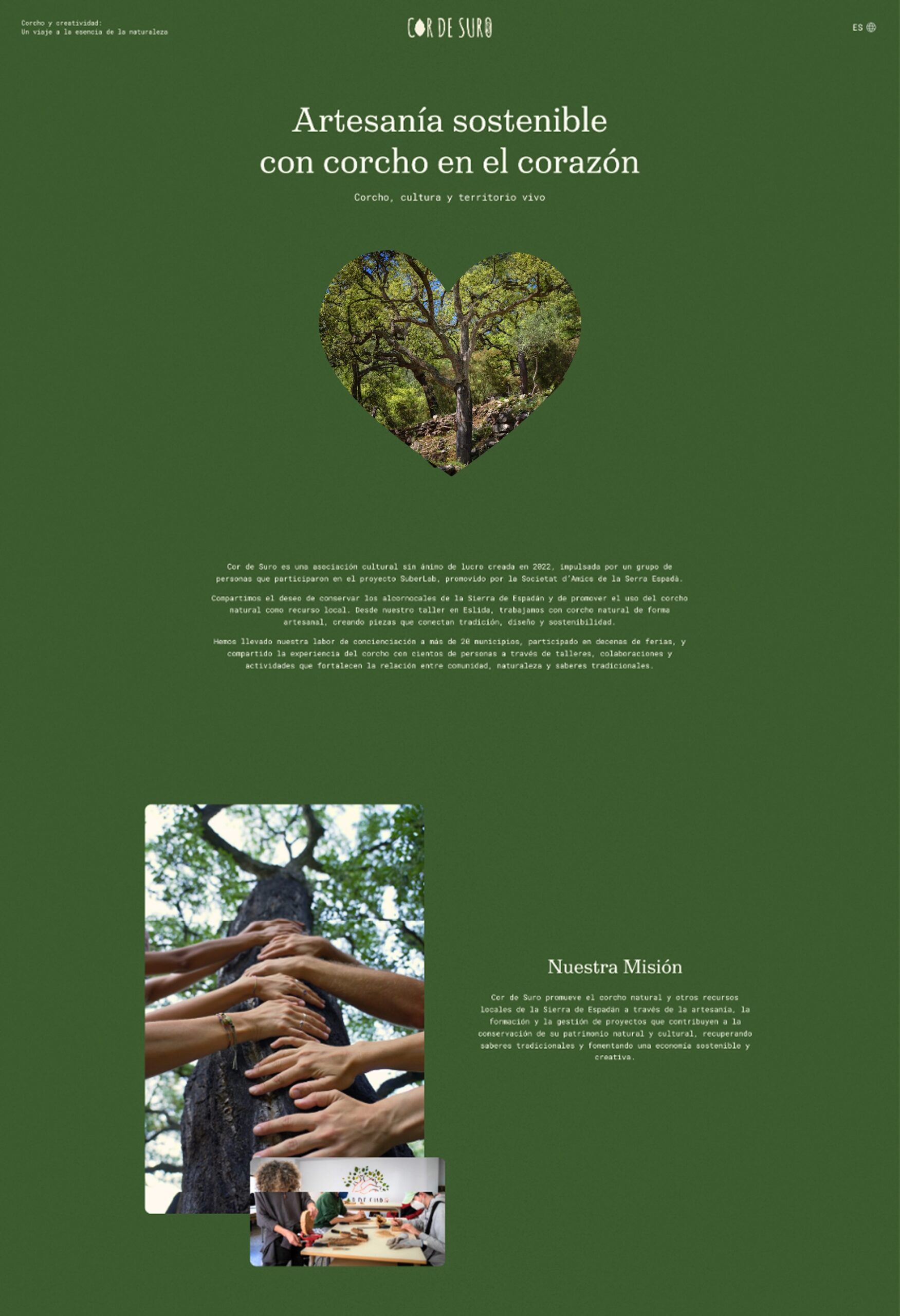 cor-de-suro-website-general-1